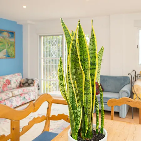 El Descanso Apartmán *